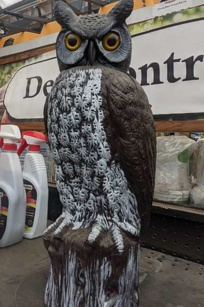 Fake Owl for Gardens Owl Statue scare away rabbits