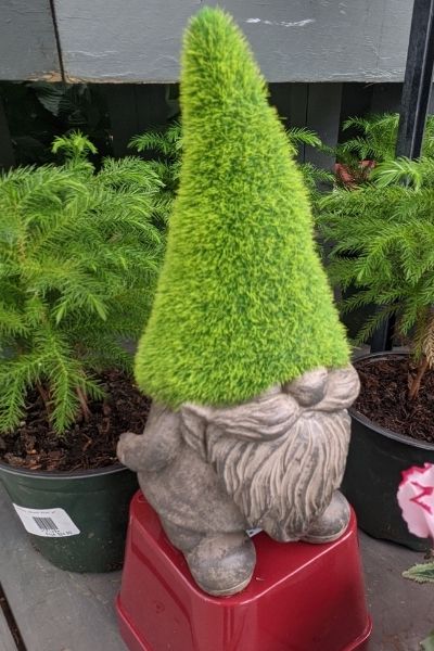 small garden gnome with faux moss hat