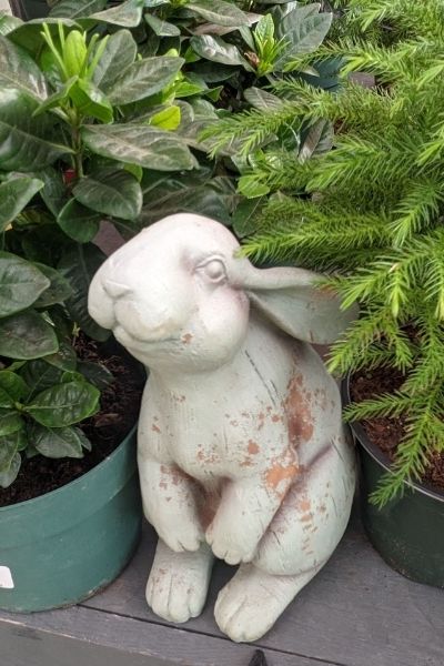 shabby chic garden bunny statue garden decor