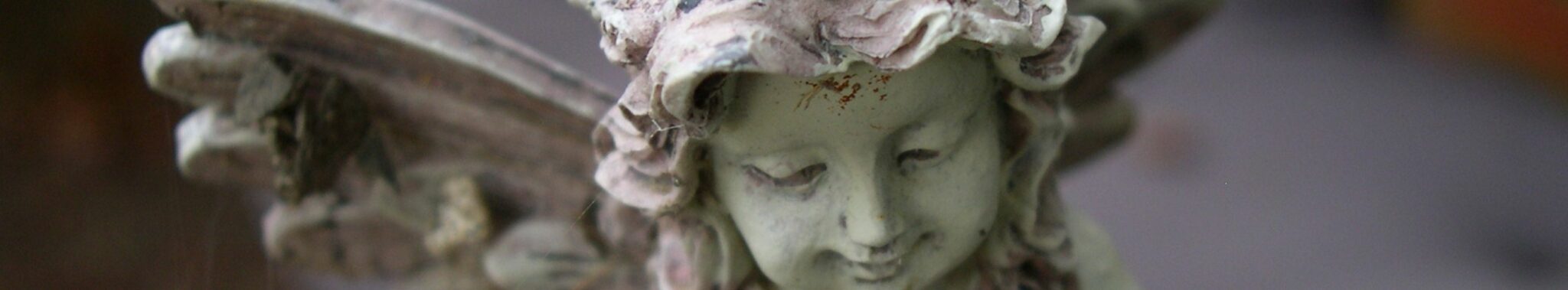 closeup of angel garden statuary statue with wings closeup of angel garden statuary statue with wings