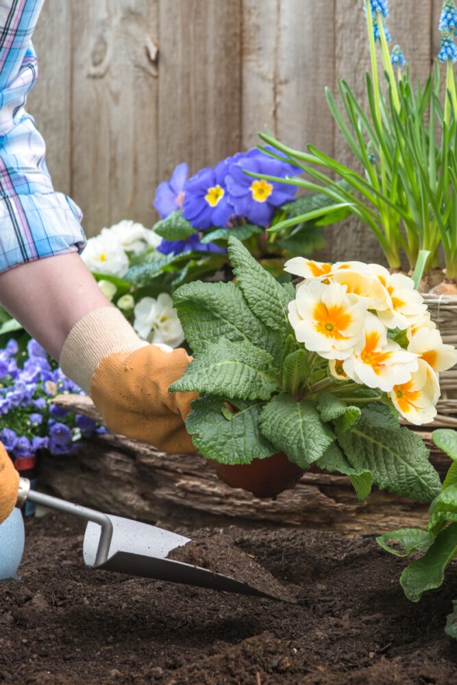 PlantingGuide