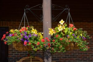 HangingBasket