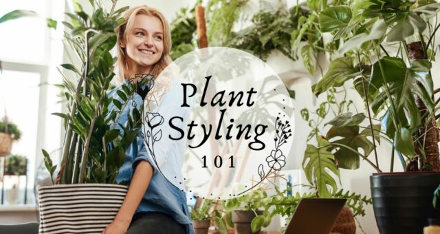 Plant Styling 101 – What Is It, Who Does It and How To Do It Yourself