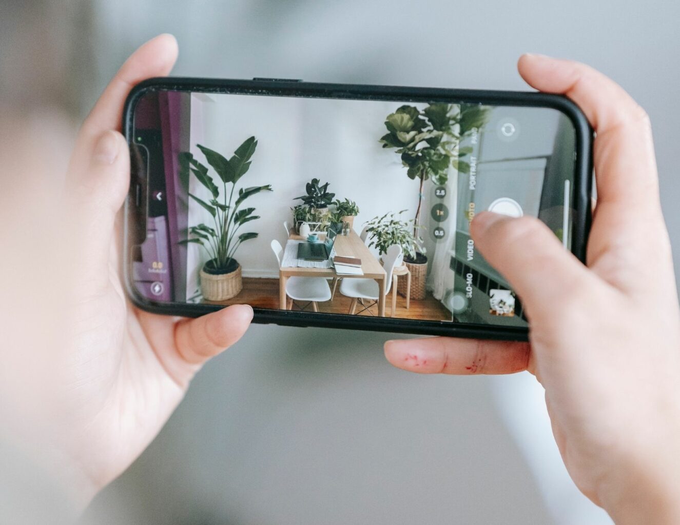 phone user taking pictures of plants for plant styling portfolio