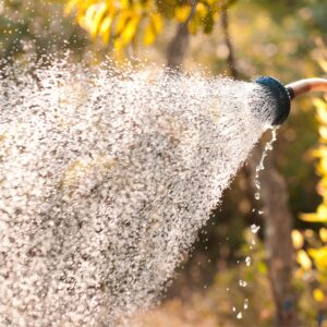 Watering Wands