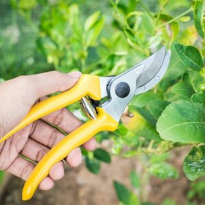 bypass pruning shears gift ideas for gardeners