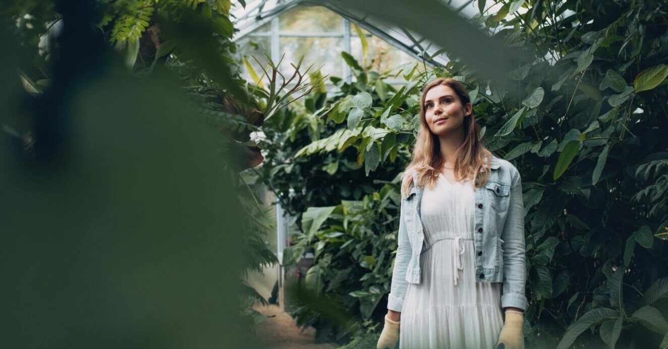 an experienced plant stylist assessing plants