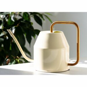 watering can gift ideas for gardeners