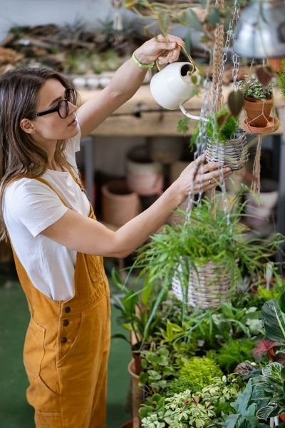 plant stylist watering plants