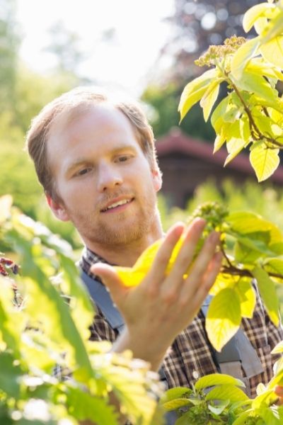 man gardening with smile mental health gardening trends 2022