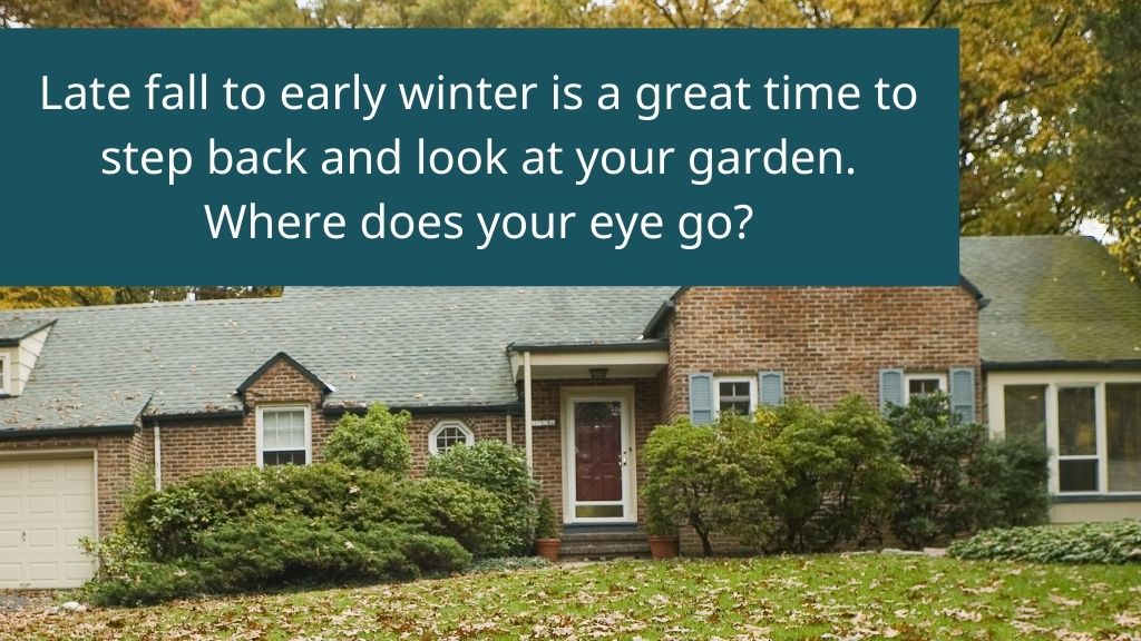evergreen shrubs in front of house for foundation plants evergreen shrubs in front of house for foundation plants
