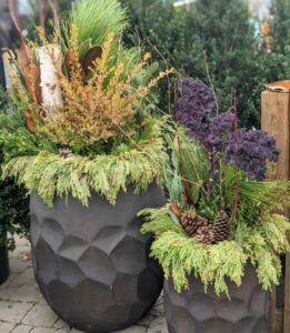 winter planters made at patuxent nursery with cold weather annuals and greenery