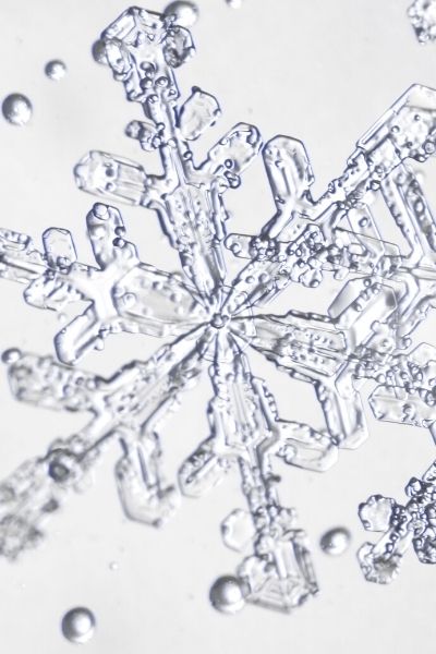 real snowflake picks up nitrogen from air for plants