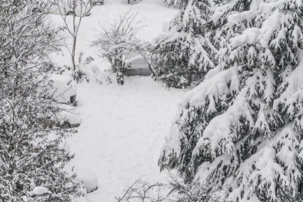 warm insulation over garden and trees