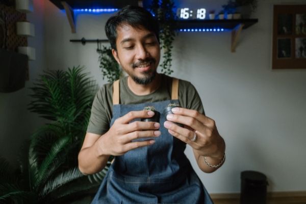 gentleman examining plants with a smile