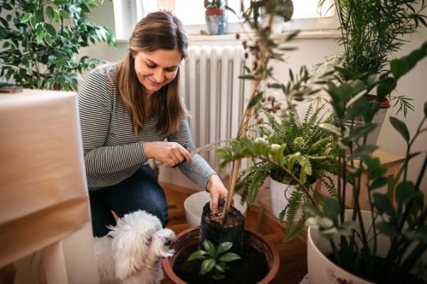 woman smiling caring for plants with dog