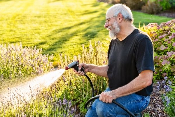 happy man watering garden in sunlight