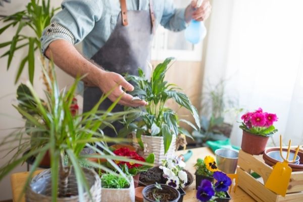 skillful plant parent with plants