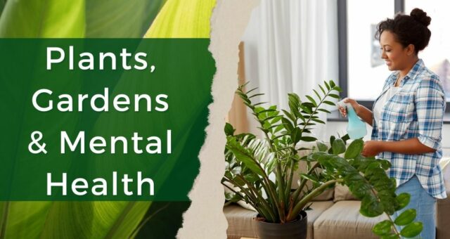 Plants, Gardens, and Mental Health