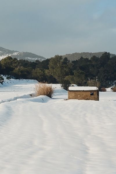 large yard covered in beautiful snow blanket