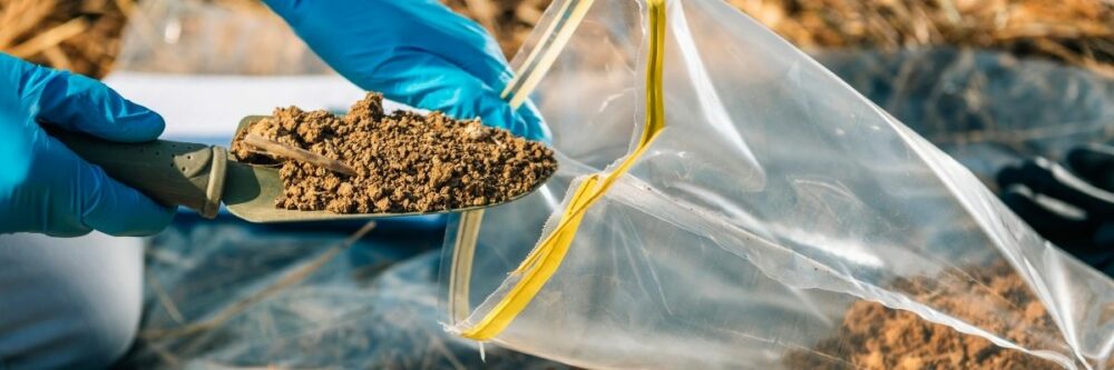 field gardener putting soil in a bag with gloves field gardener putting soil in a bag with gloves