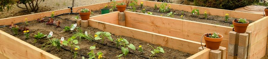 Raised Bed Gardening Benefits: What Do They Actually Do?