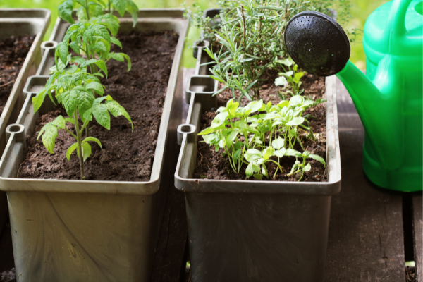 tiny raised bed garden in small containers tiny raised bed garden in small containers