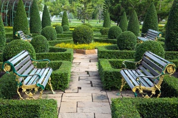 ornate chairs match the classic hedges