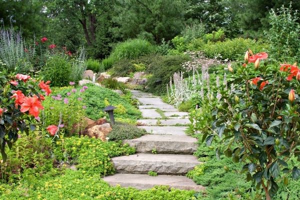 paved path nestled in beautiful garden