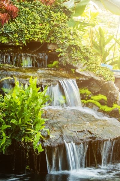 a water element bathed in sunlight in a garden