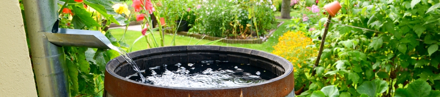 Rain Barrel