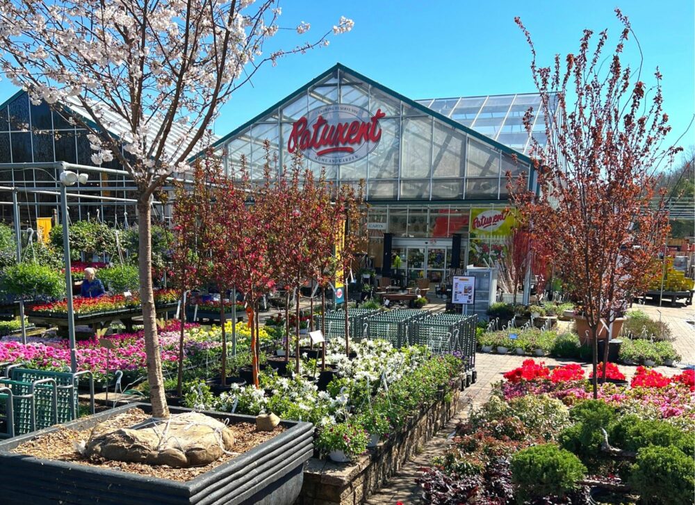 Maryland Plant Nursery & Garden Center in Bowie, MD Patuxent Nursery