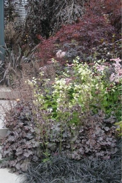 black foliage in gothic garden