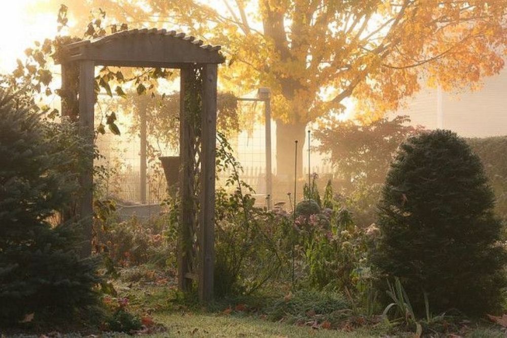 creepy romantic gothic garden with eerie vibes