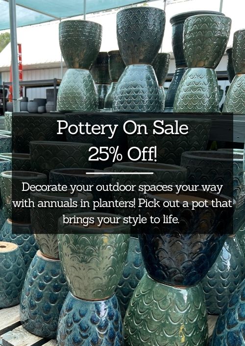 Pottery sale memorial day weekend Pottery sale memorial day weekend