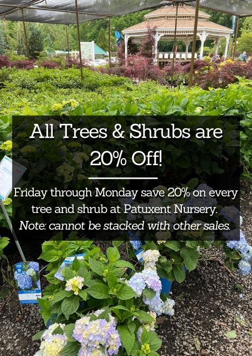 Trees and Shrubs are 20% Off Trees and Shrubs are 20% Off