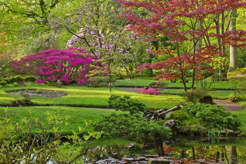 zen garden landscape