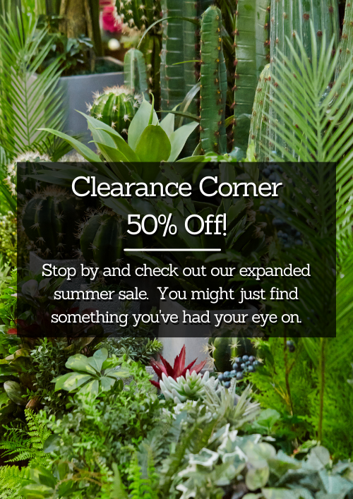Clearance Corner 50% Off Clearance Corner 50% Off