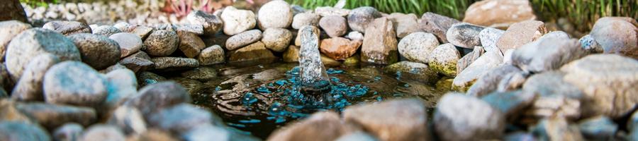 Aquatic Boulder Border