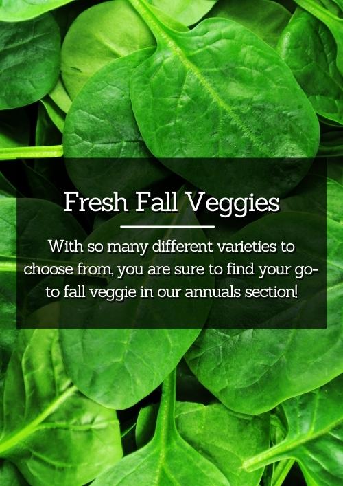 Fresh Fall Veggies Fresh Fall Veggies