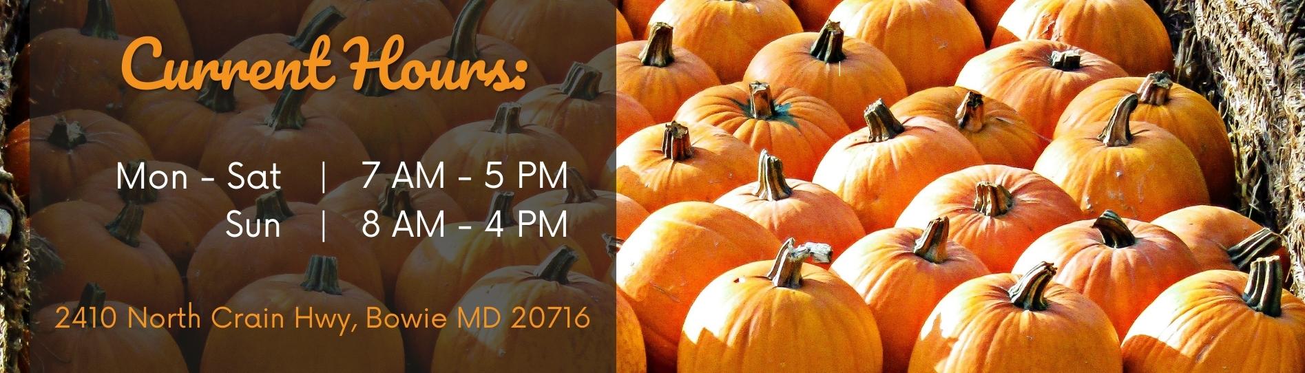 Maryland Plant Nursery & Garden Center in Bowie, MD Patuxent Nursery