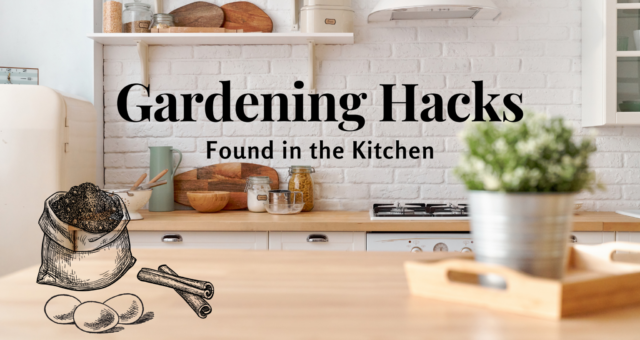 Gardening Hacks Found in the Kitchen