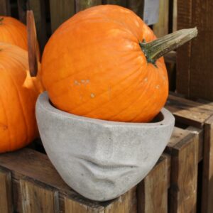 pumpkin in statue pumpkin in statue