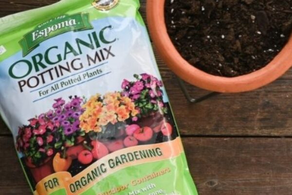 Organic Potting Mix