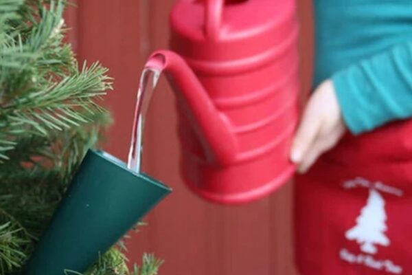 Watering Funnel