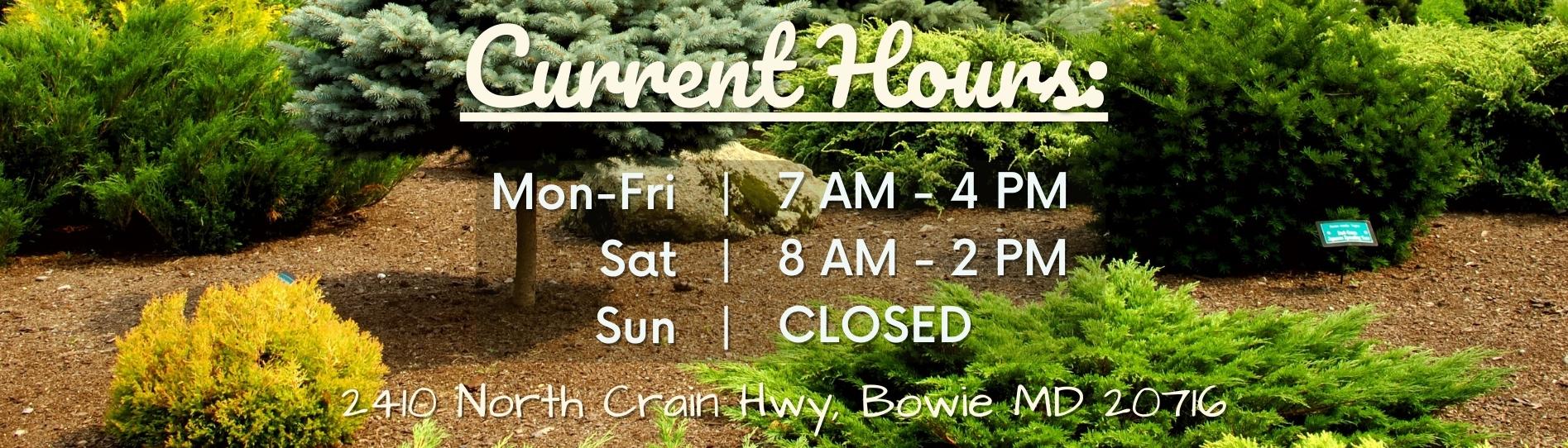 Maryland Plant Nursery & Garden Center in Bowie, MD Patuxent Nursery