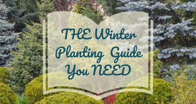 THE Winter Planting Guide You Need