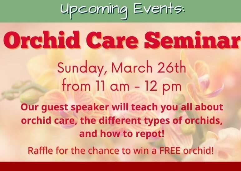 Orchid Care Seminar