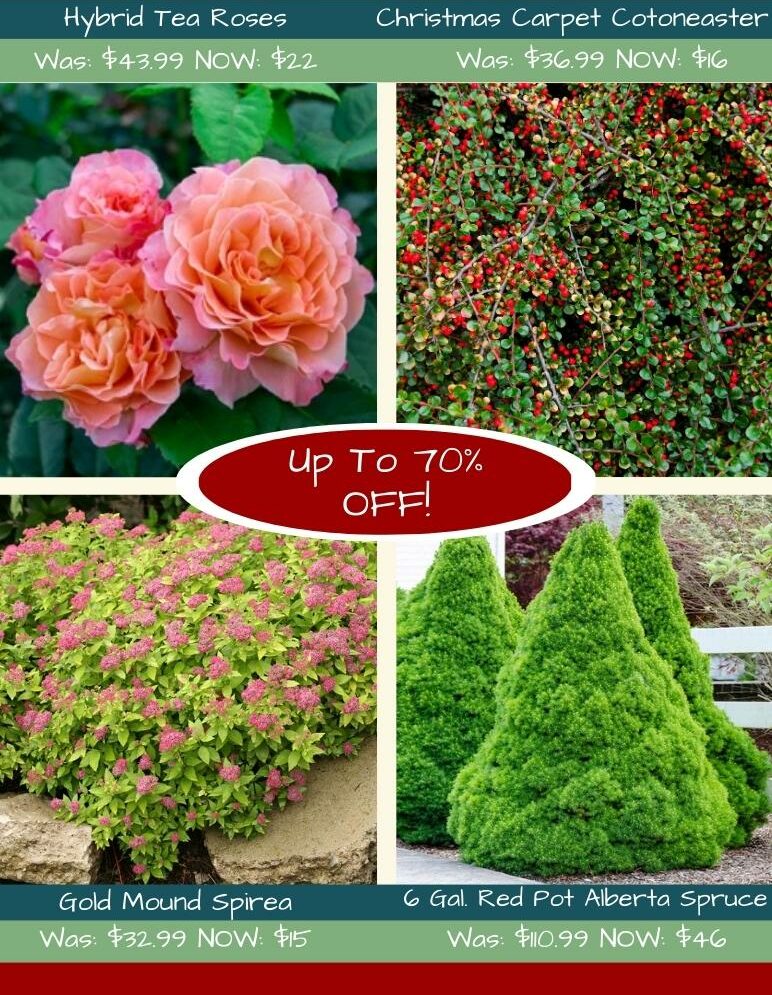 Up To 70% Off