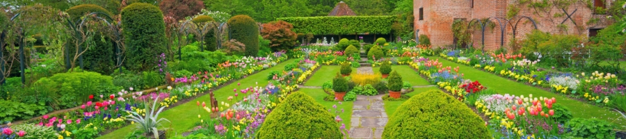 topiaries in a garden